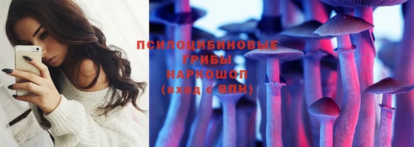 spice Горно-Алтайск