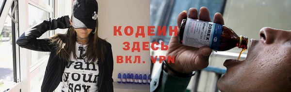 крисы Горняк