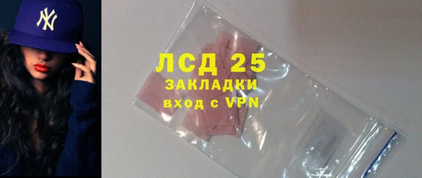 крисы Горняк