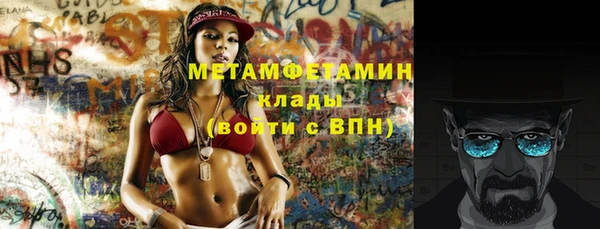 крисы Горняк