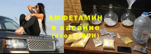 крисы Горняк